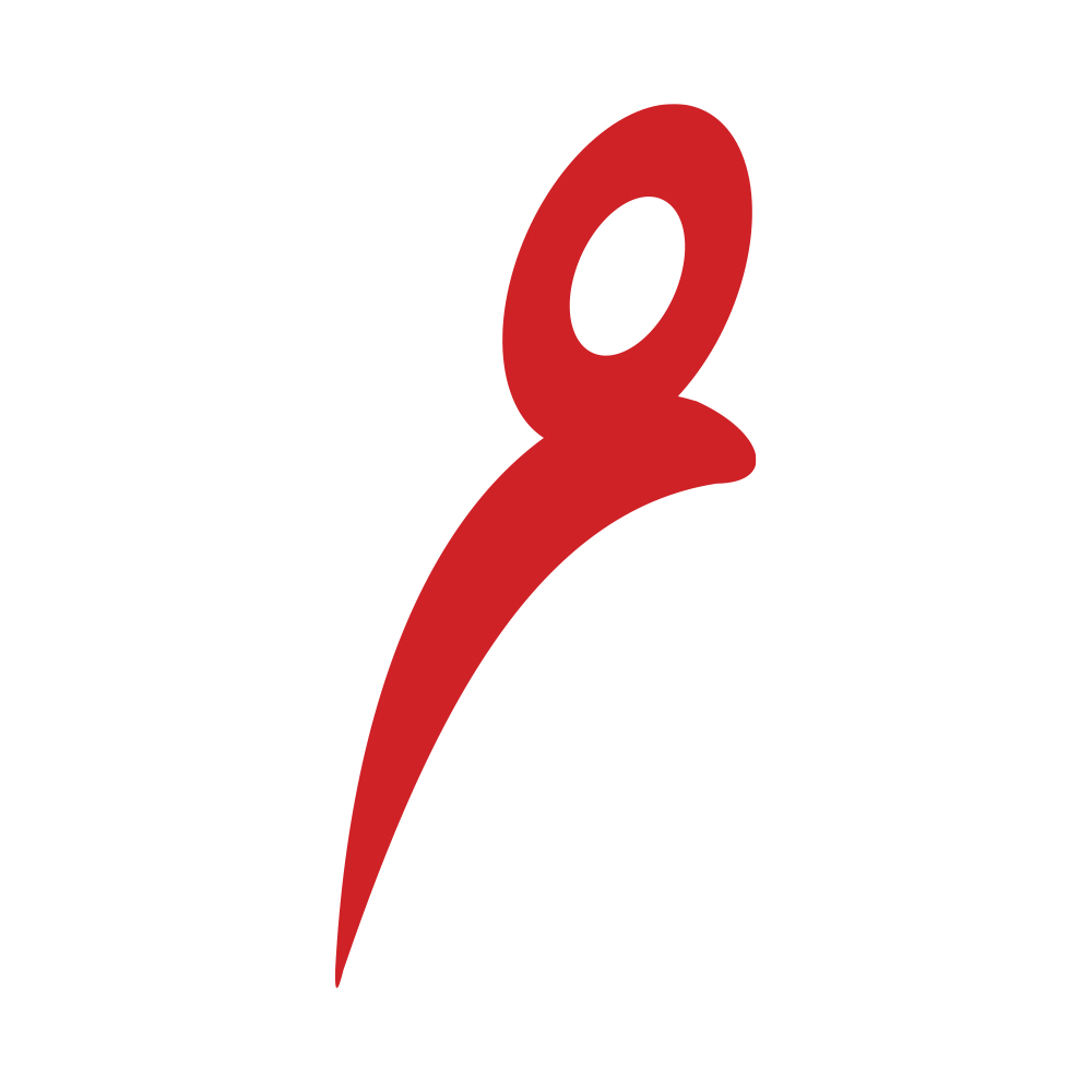 ACTIVE HR Consulting Bt.